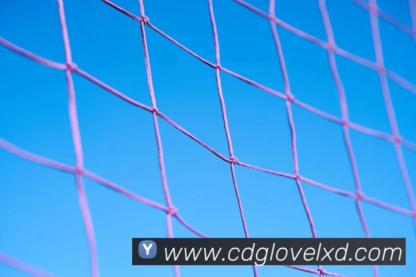 米兰体育网页版登录界面官方网站 - 登录入口平台生态图